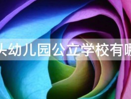 汕头幼儿园公立学校有哪些 