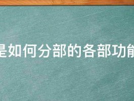 小脑是如何分部的各部功能如何 