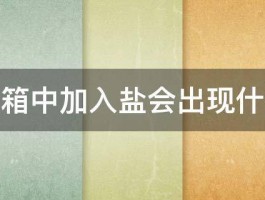 汽车油箱中加入盐会出现什么后果 