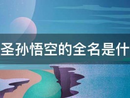 齐天大圣孙悟空的全名是什么哈哈 