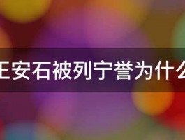 王安石被列宁誉为什么 