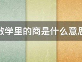 数学里的商是什么意思 