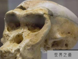 研究人员发现,已知的第一批海啸受害者证实了6000年前的死亡