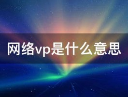 网络vp是什么意思 