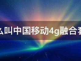 什么叫中国移动4g融合套餐 