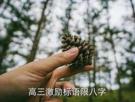 高三标语，高三激励标语限八字 