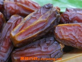 椰枣怎么吃壮阳 椰枣每天吃多少壮阳_红枣_做法,功效与作用,营养价值