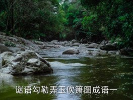 弄玉吹箫，谜语勾勒弄玉吹箫图成语一 