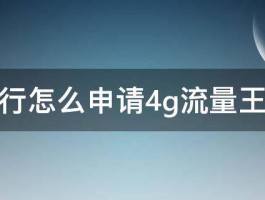 神州行怎么申请4g流量王套餐 