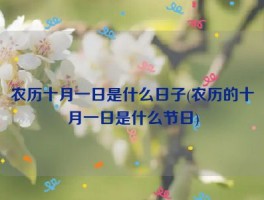 一九四五年八月五日是个什么日子的简单介绍