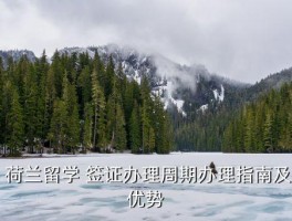 英国申荷兰签证要多长时间 