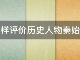 怎样评价历史人物秦始皇 