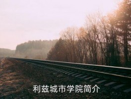 利兹城市学院是什么档次的大学,利兹城市学院的大学排名及档次是什么？ 