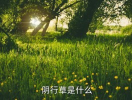 阴行草出自哪里,揭秘：原标题“阴行草”出自哪里 