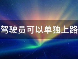 实习期驾驶员可以单独上路行使吗 