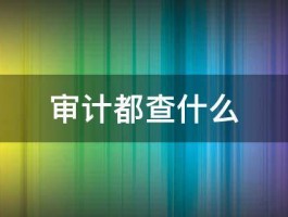 审计都查什么 