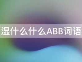 湿什么什么ABB词语 