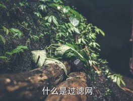 过滤网哪里有买,过滤网购买地点在哪里？ 