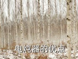 隔水炖和电炖哪个好,隔水炖和电炖哪种更好？重新构思一个新标题 