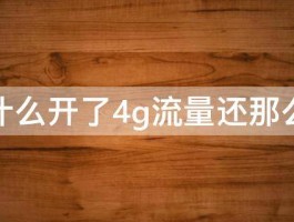 为什么开了4g流量还那么慢 