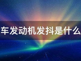 摩托车发动机发抖是什么原因 