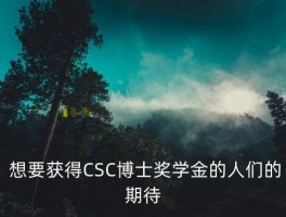 2021年csc博士结果出来了吗,2021年中国政府奖学金博士生名单已揭晓 