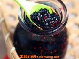 桑树枣泡酒有什么功效 桑树枣泡酒的功效与作用_桑葚_做法,功效与作用,营养价值