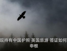 人在英国有签证怎么办申根,英国延期毕业签证怎么办 