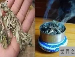 蚊子怕什么？巧妙利用身边的小东西消灭蚊子