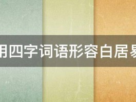 用四字词语形容白居易 