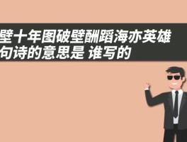 面壁十年图破壁酬蹈海亦英雄这句诗的意思是 面壁十年图破壁酬蹈海亦英雄谁写的