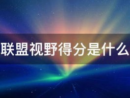 英雄联盟视野得分是什么意思 