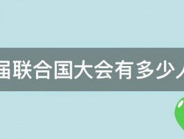 第26届联合国大会有多少人参加 