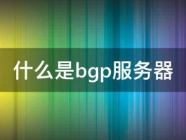 什么是bgp服务器 