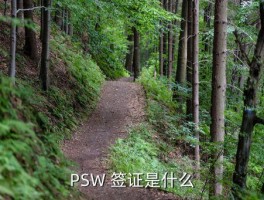 英国psw官方签证,英国两年签证的官方价格是多少 