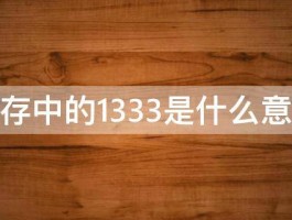 内存中的1333是什么意思 