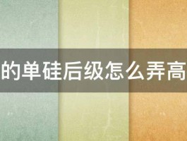 电鱼机的单硅后级怎么弄高手指点 