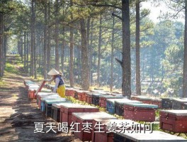 夏季姜和什么茶，夏天喝红枣生姜茶如何 