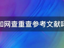 知网查重查参考文献吗 