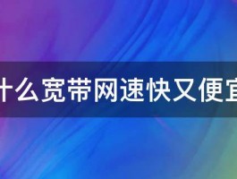 什么宽带网速快又便宜 