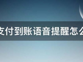 微信支付到账语音提醒怎么设置 