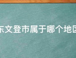 山东文登市属于哪个地区的 