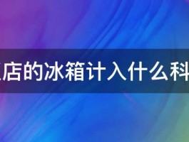 饭店的冰箱计入什么科目 