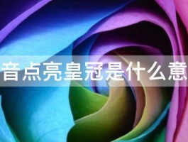 抖音点亮皇冠是什么意思 