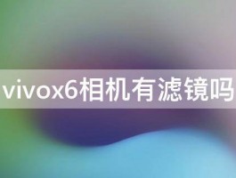 vivox6相机有滤镜吗 