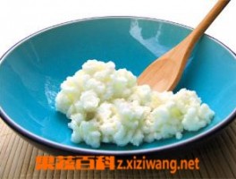 雪莲菌怎么养 雪莲菌饲养方法技巧_香菇_做法,功效与作用,营养价值