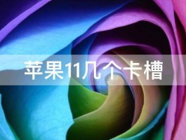 苹果11几个卡槽 