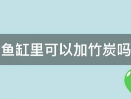 鱼缸里可以加竹炭吗 