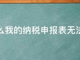 为什么我的纳税申报表无法打印 