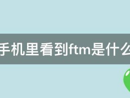 中兴手机里看到ftm是什么来的 